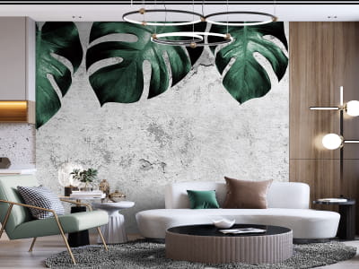 Fototapete Monstera auf Beton