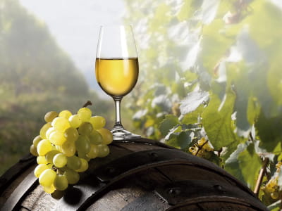 Fototapete Edler Wein