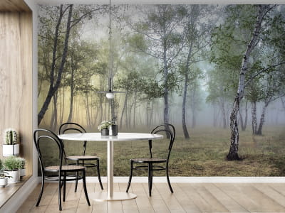 Fototapete 3D-Birke