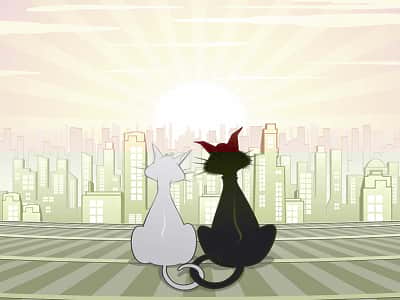 Fototapete Gezeichnete Katzen