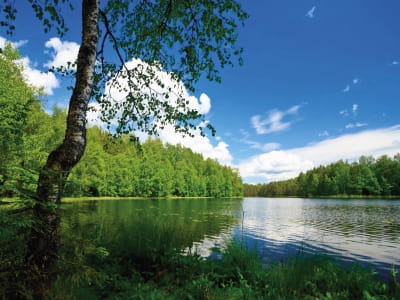 Fototapete Ruhiger Waldsee