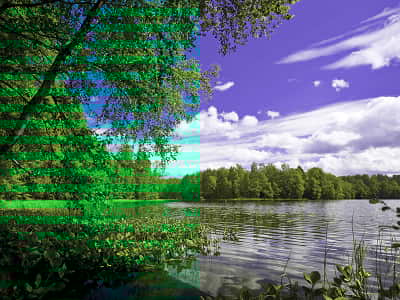 Fototapete See im Wald
