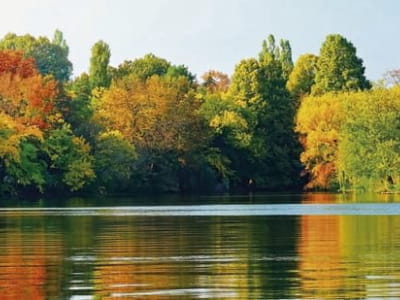Fototapete Panorama der Herbstnatur