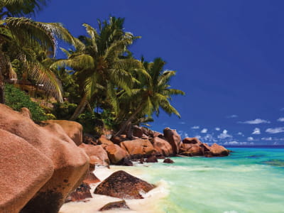 Fototapete Tropische Landschaft