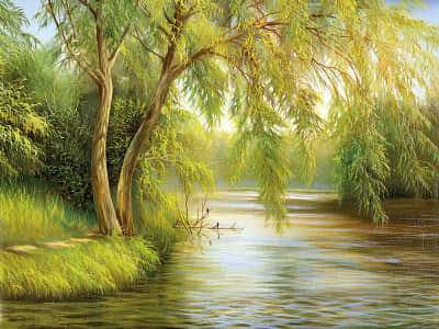 Fototapete Trauerweide