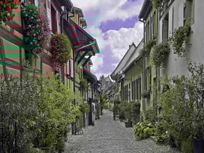 Fototapete Blumenstraße in Europa