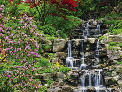 Fototapete Wasserfall im Garten