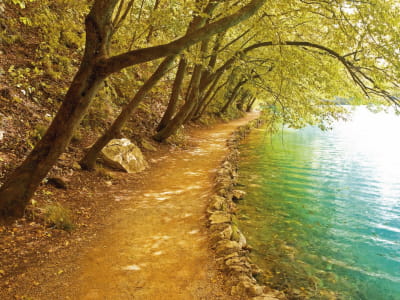 Fototapete Weg am Fluss