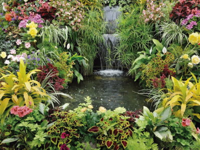 Fototapete Kleiner Wasserfall im Garten