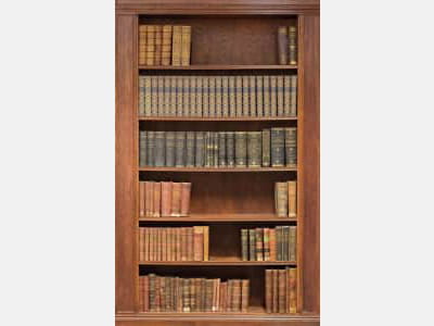 Fototapete Bücherregal