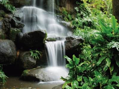 Fototapete Kleiner Wasserfall