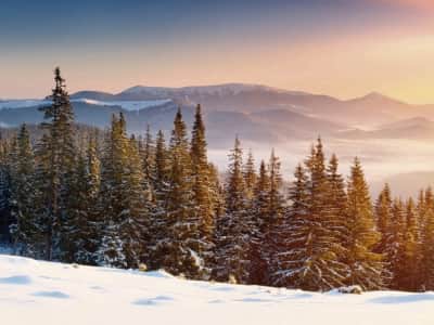 Fototapete Winterlandschaft