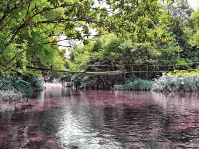 Fototapete Kleine Brücke über den Fluss