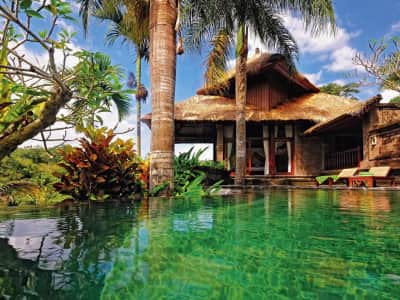 Fototapete Natur von Bali