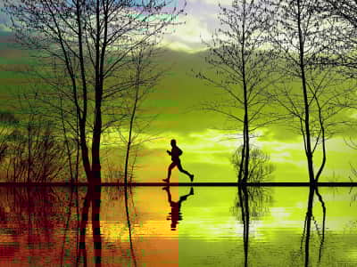 Fototapete Morgenlauf