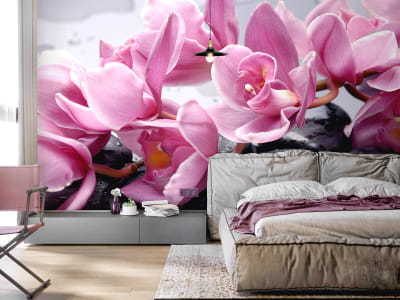 Fototapete Blumen auf den Steinen