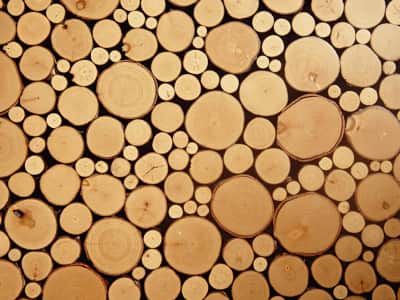 Fototapete Brennholz Holz