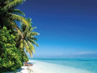 Fototapete Sonniger tropischer Strand