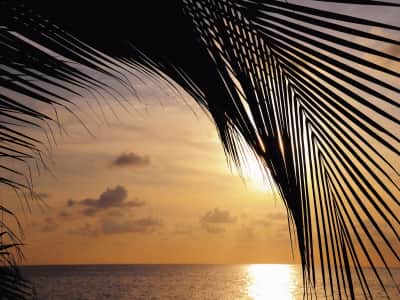 Fototapete Tropischer Strand bei Sonnenuntergang