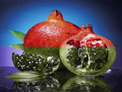 Fototapete Granatapfel