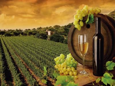 Fototapete Weißwein und Weinberge