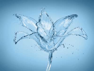 Fototapete Blume aus Wasser