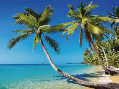 Fototapete Strand in Thailand