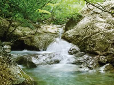 Fototapete Bergbach