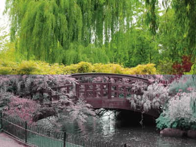 Fototapete Wunderschöner Frühlingsgarten