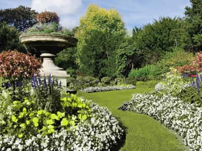 Fototapete Großer blühender Garten