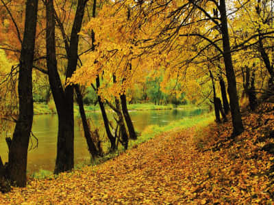 Fototapete Herbstlandschaft