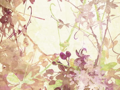 Fototapete Abstrakte Illustration