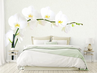 Fototapete Kaskadierende Orchideen