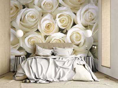Fototapete Weiße Rose