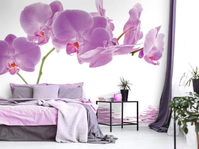 Fototapete Rosa Orchideen