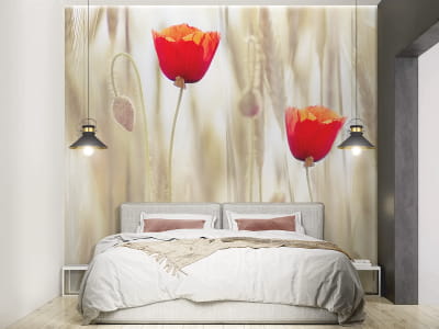 Fototapete Rote Mohnblumen