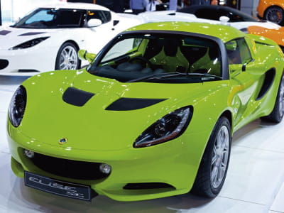 Fototapete Lotus Alice SC