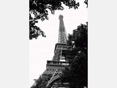 Fototapete Architektonisches Symbol von Paris