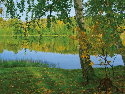 Fototapete Waldsee