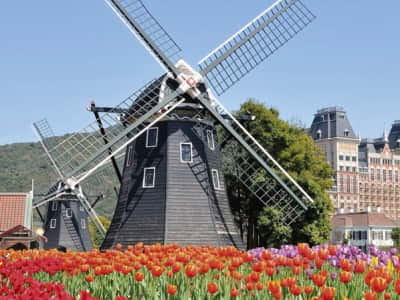 Fototapete Mühle