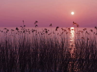 Fototapete Abendlicher Sonnenuntergang