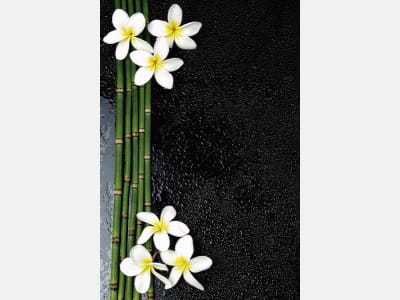Fototapete Bambus und Plumeria