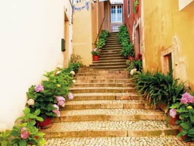 Fototapete Straße mit Blumen