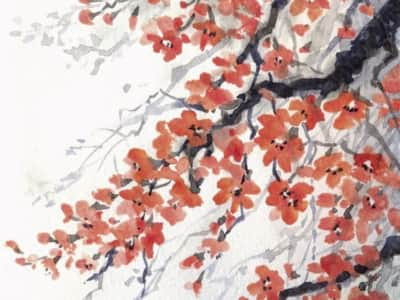 Fototapete Rote Blumen auf einem Baum