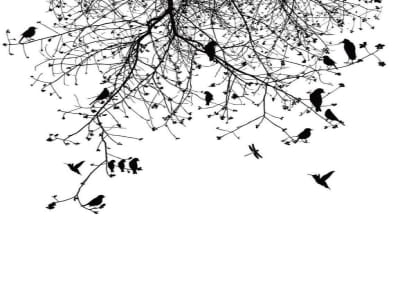Fototapete Vögel auf einem Baum