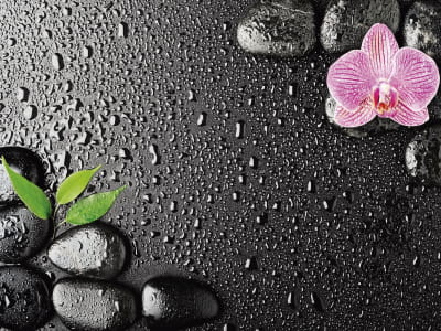 Fototapete Orchidee und Regentropfen