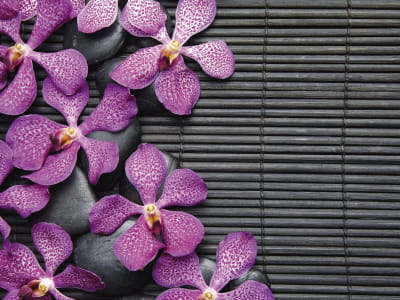 Fototapete Wilde Orchidee und Steine