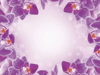 Fototapete Rahmen aus Orchideen
