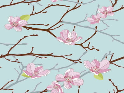 Fototapete Wunderschöne Kirschblüte