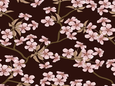 Fototapete Sakura auf dunklem Hintergrund